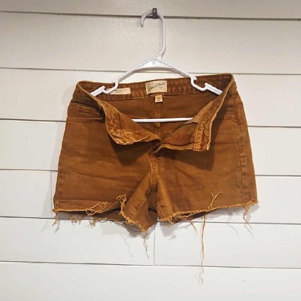 Women's Brown Distressed Shorts